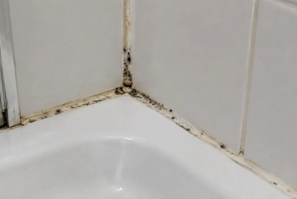 Kitbedrijf Doorn – beschimmelde kitranden